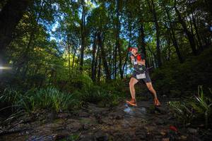 BIB: 
                            <button type="button" onclick="openModal(19232125)" class="btn btn-primary btn-sm float-right btn-popup" data-toggle="modal" data-target=".modal-high-quality">
                        <i class="fas fa-shopping-cart"></i> Add to Cart
                    </button>
                                            <button type="button" onclick="isThisMe(19232125, true)" class="btn btn-success btn-sm float-right btn-popup btn-isme hidden" data-toggle="tooltip" data-placement="bottom" title="นี่คือรูปของคุณใช่ไหม คลิกที่นี่เพื่อเอาเข้าอัลบั้ม">
                        <i class="fas fa-plus"></i> Add to album
                    </button>
                    <button type="button" onclick="isThisMe(19232125, false)" class="btn btn-warning btn-sm float-right btn-popup btn-isnotme hidden">
                        <i class="fas fa-ban"></i> Remove from album
                    </button>